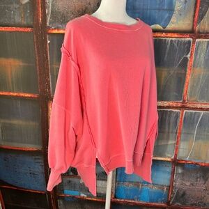 We The Free Camden Sweatshirt Camellia Oversized Size Small
